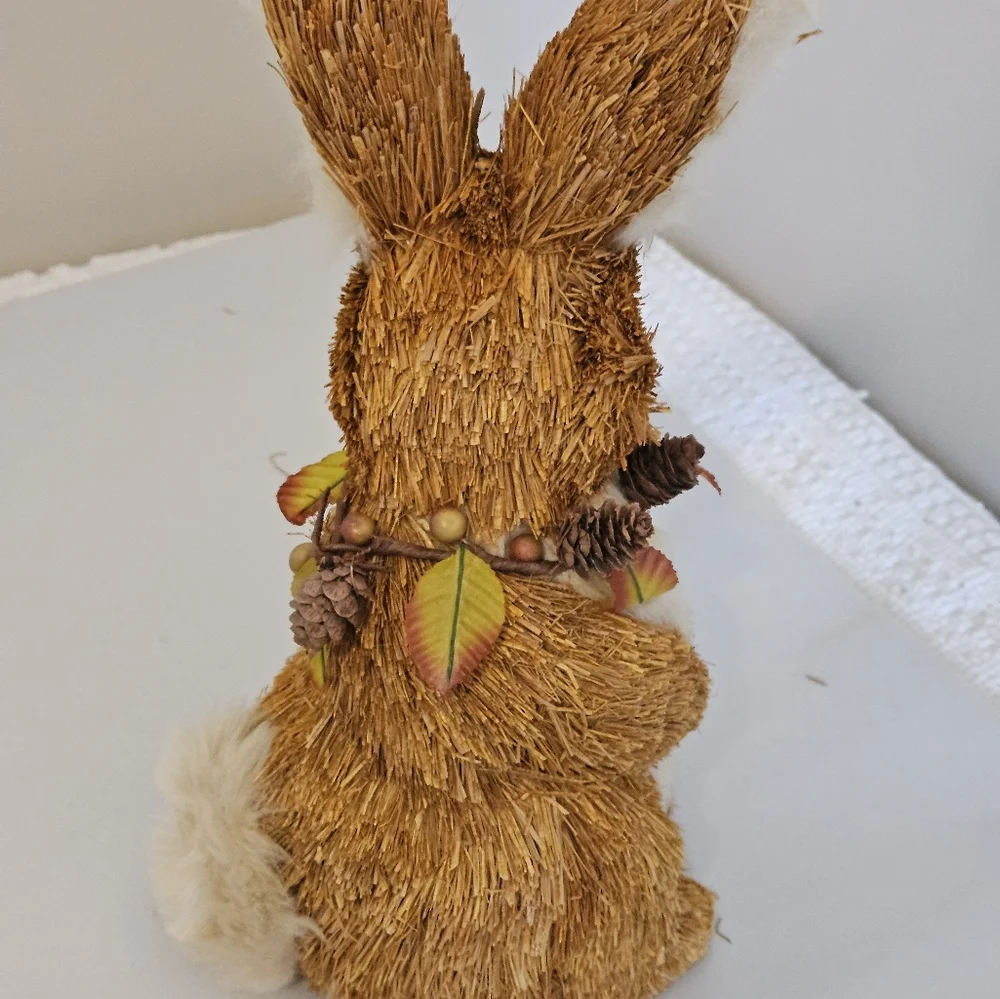 Charming Pier 1 Sisal Fall Bunny.